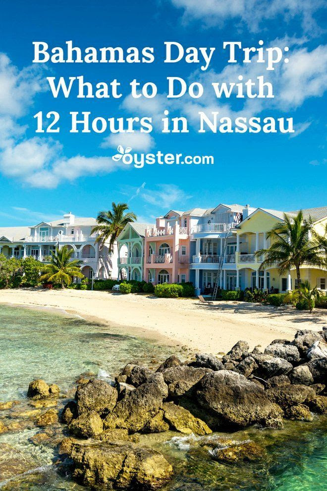 Bahamas Day Trip What to Do With Less Than 24 Hours in Nassau Oyster