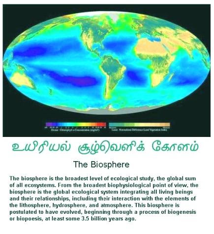 fig-1a-the-earths-biosphere1