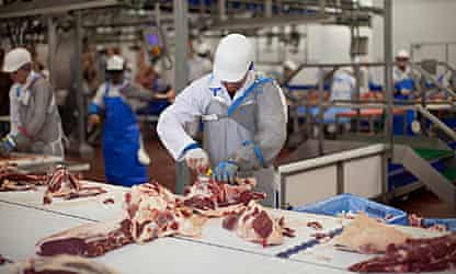 UK to allow temporary visas for butchers in latest Brexit policy U-turn