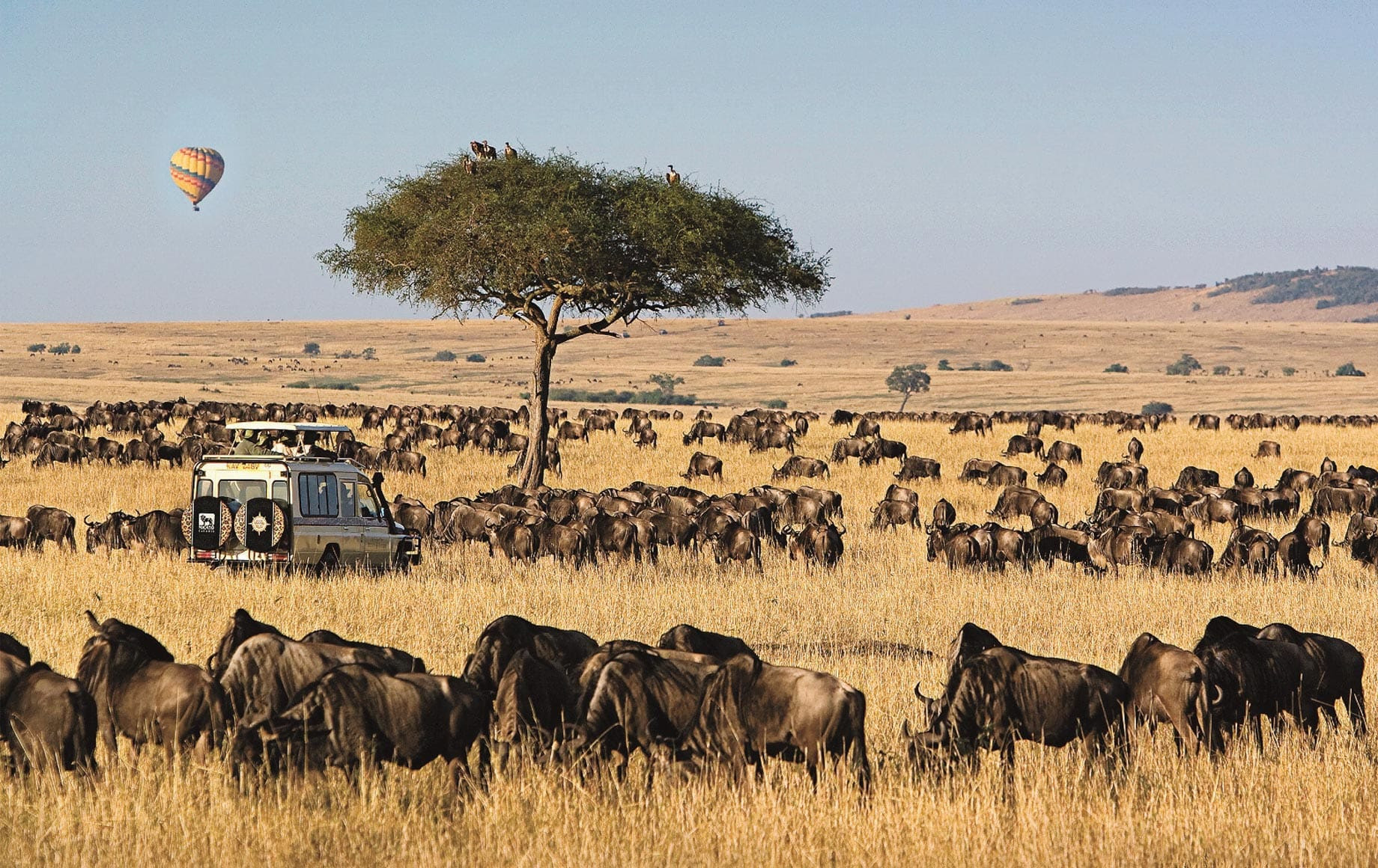 Masai Mara