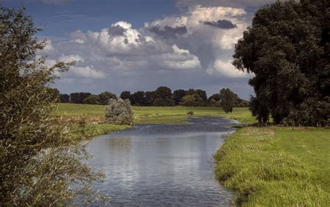 The picturesque Alter Rheinarm, a preserved arm of the Rhine River, with greenery and a historic watermill in the background.