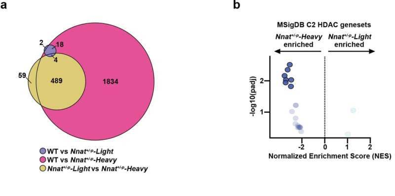 Scientists redefine obesity with discovery of two major subtypes