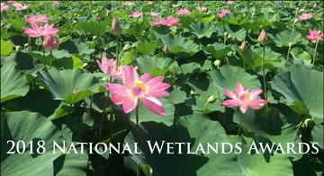 National Wetlands Awards