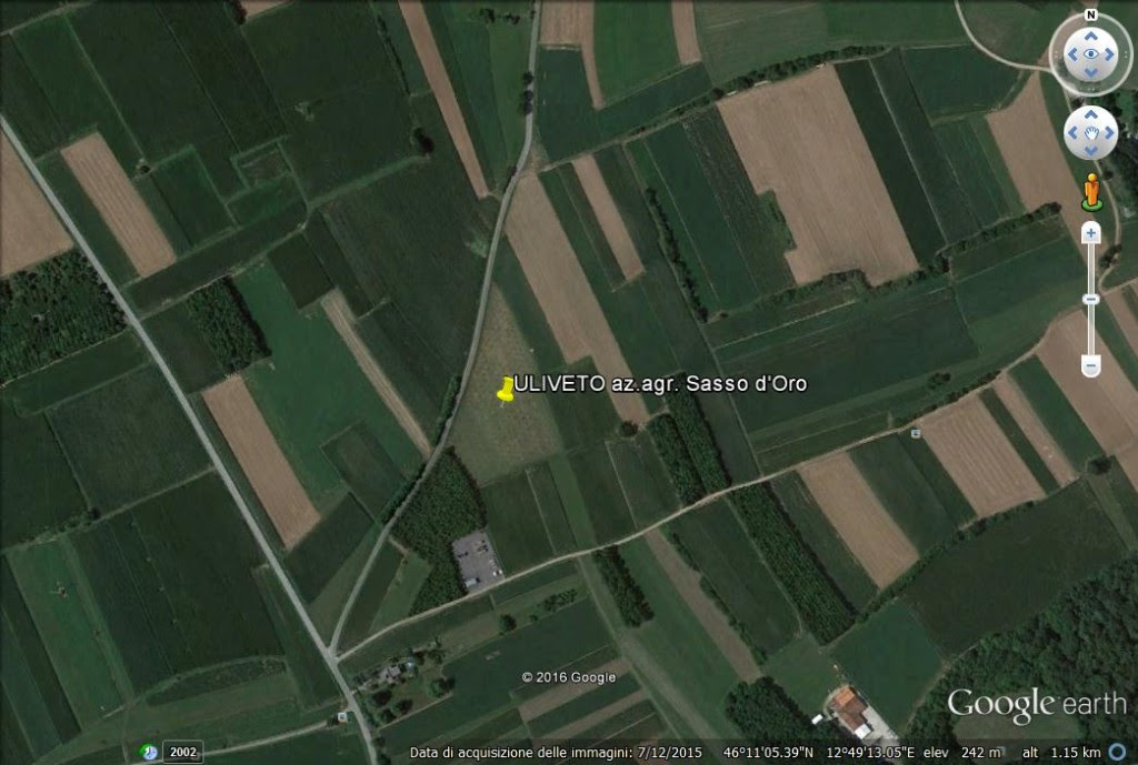 ULIVETO AZ.AGR. SASSO D'ORO