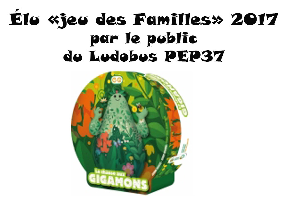 Elu "jeu des familles" 2017 par le public du LUDOBUS PEP37