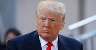 Trump Lit Up Fake News Media Hours After His Return To U.S. Soil (Video) Trump Lit Up Fake News Media Hours After His Return To U.S. Soil (Video)