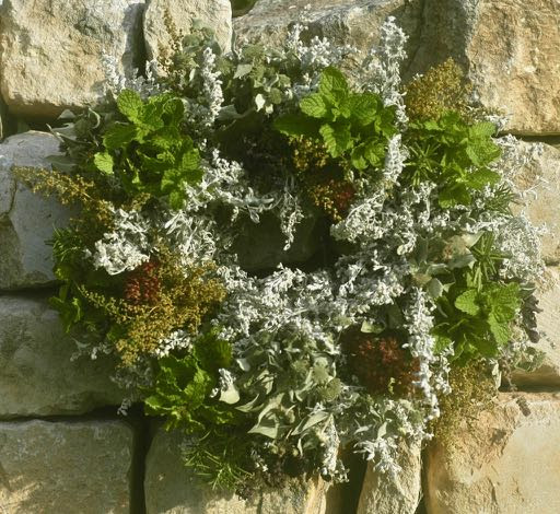 http://commonwealthurbanfarms.com/wp-content/uploads/2019/02/wreath-dried-by-Edith.jpg