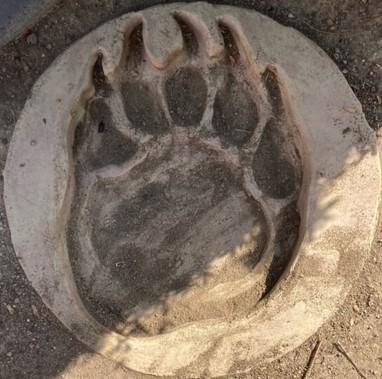 bear paw.jpeg