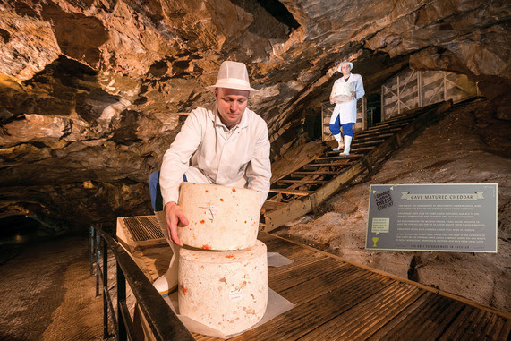image of man holding cheese from Cheddar Gorge Cheese Company