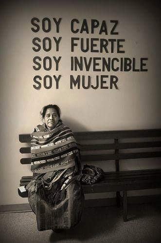 Ver imagen en Twitter Ver imagen en Twitter