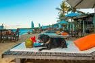 Pousada Travel inn Trancoso pet friendly na praia reveillon (Divulgação)