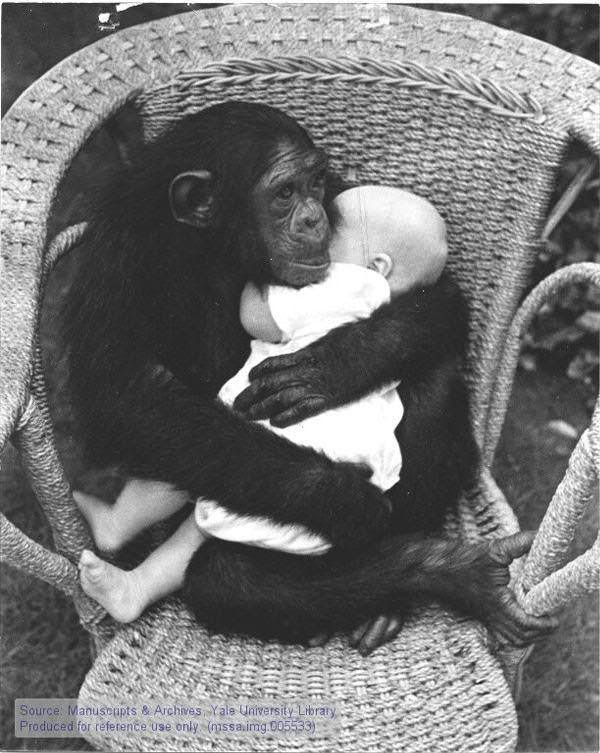 Un câlin... 964f35de-fa0f-40c3-a96c-41fa91dbfe55