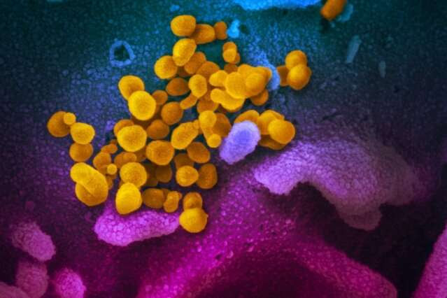 COVID-19, coronavirus