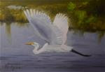 Egret In Flight - Posted on Wednesday, November 26, 2014 by Bruce Hedges