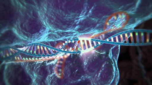 Genome Editing with CRISPR-Cas9