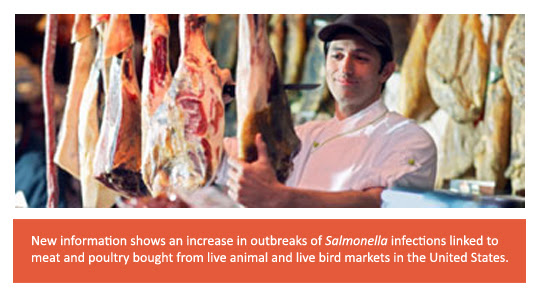 Live animals and bird markets show increase in Salmonella infections in US
