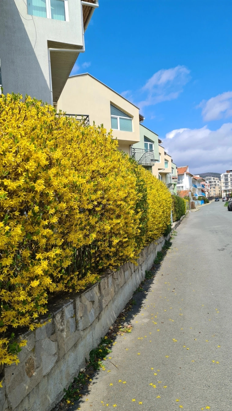 Азия. Четверг. Азия. Четверг.