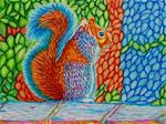 Sunset Squirrel - Posted on Tuesday, January 27, 2015 by Kristina Blokhin