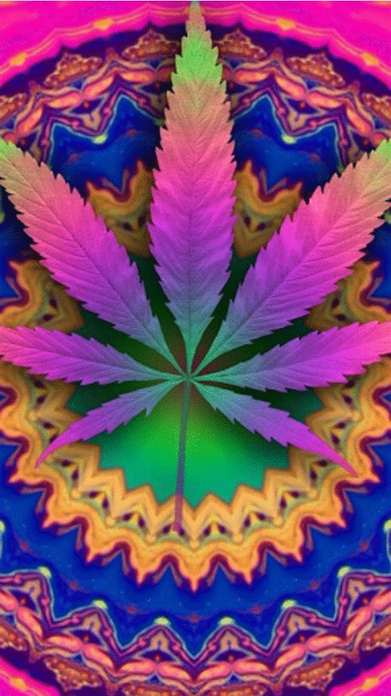 Image result for ohio medical marijuana