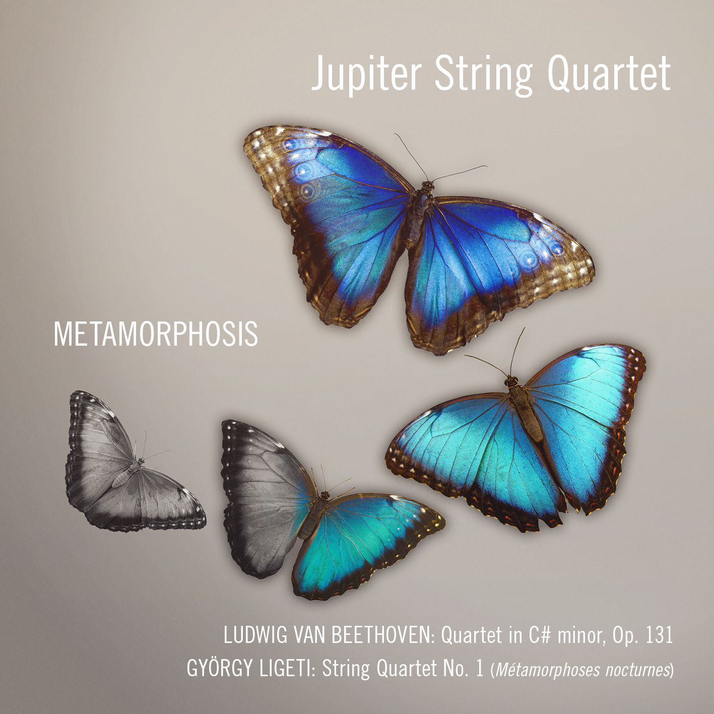 JQ_Metamorphosis-cover.jpg