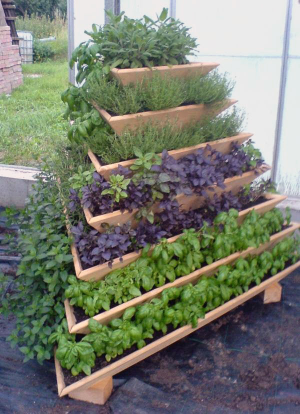 Turn a Small Space Into a Big Harvest  Pyramid-garden-2