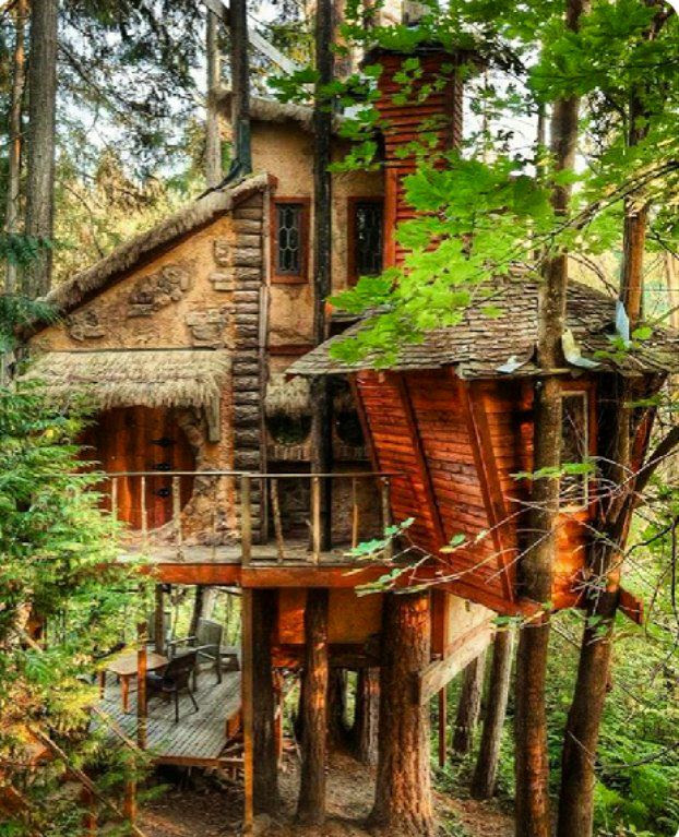 Tree-House-Seattle