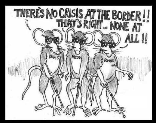 three blind mice no crisis at border democrats media rinos