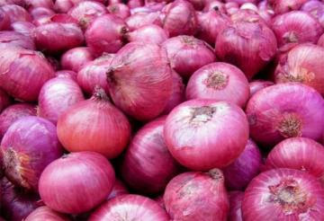 Perú exportó cebolla fresca por casi US$ 94 millones entre enero y noviembre de este año