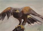 Hawk in hand - Posted on Tuesday, November 11, 2014 by H.F. Wallen