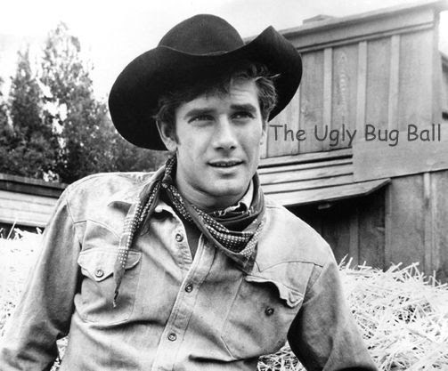 Robert Fuller in Laramie | Actors of Film & TV | Pinterest