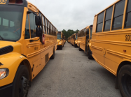 School buses