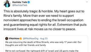Tlaib blames jihad murder of Israeli teen on “Israeli occupation”