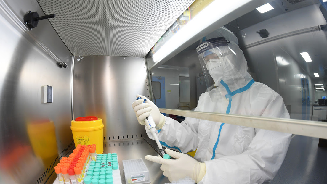 Crean en EE.UU. una nueva cepa del coronavirus que causa un 80% de mortalidad en ratones