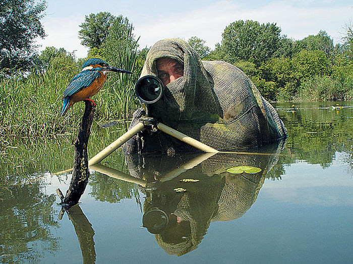 Nature                                                            Photographer