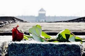memoriafiore