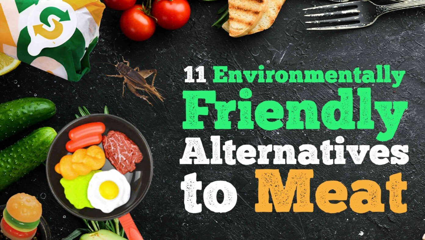 11 Environmentally Friendly Meat Substitutes