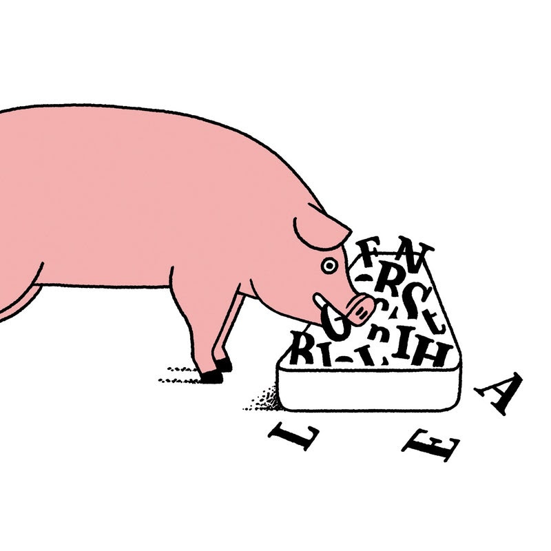 a pig eating letters out of a trough