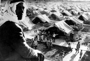 the actual number of the 1948/9 Palestinian refugees was 320,000,