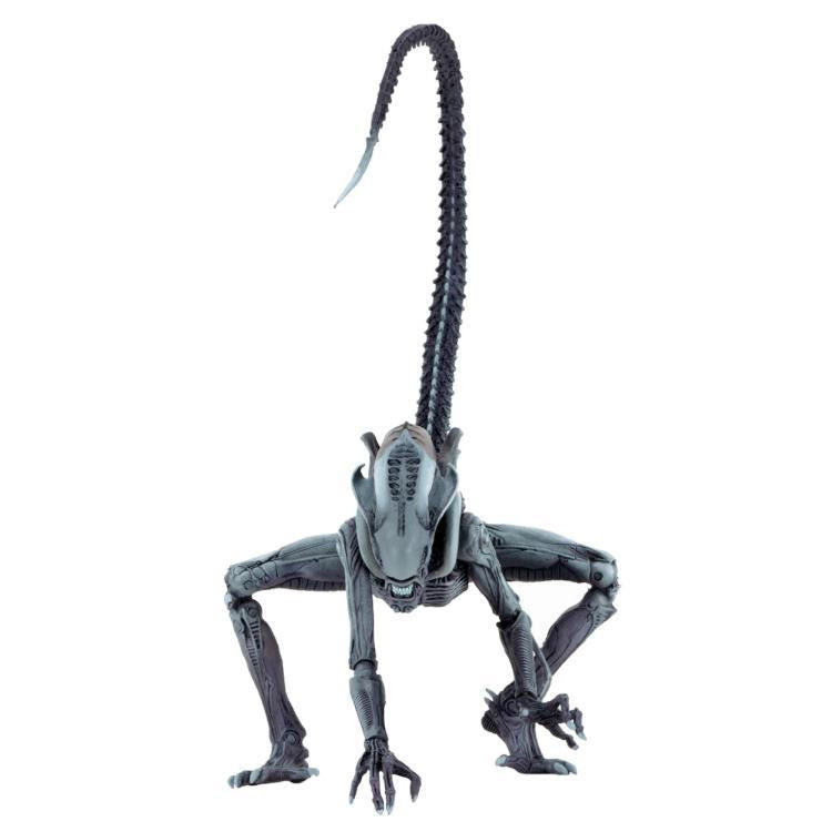 Image of Alien vs. Predator Arcade Appearance Aliens - Arachnoid Alien