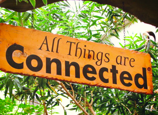 Image result for all things are connected