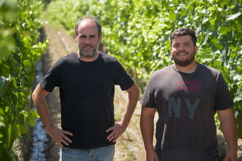 imatorras bodegas