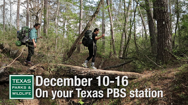 Texas Parks & Wildlife Television on your Texas PBS - Program 2609. December 10â€“16, 2017, and June 10â€“16, 2018