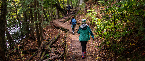 Two people hiking on a wooded trail