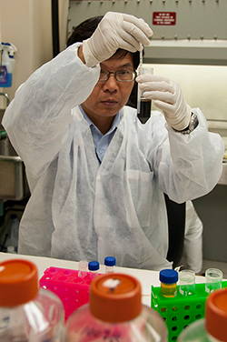 An FDA scientist collects plasma from processed whole blood (FDA - Michael J. Ermarth)