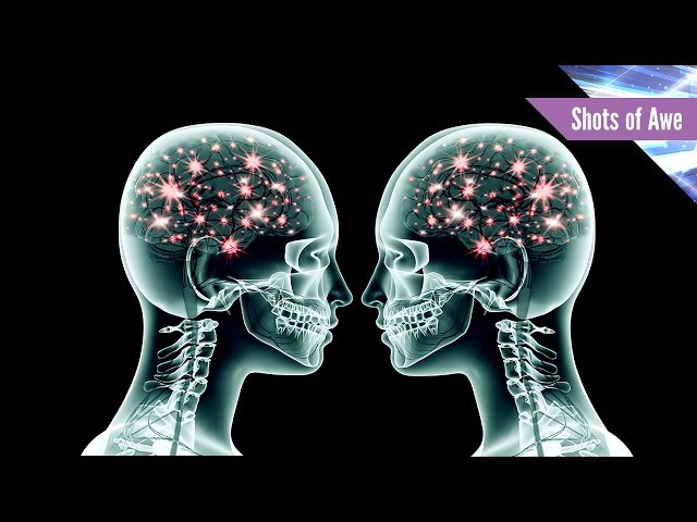 What Is Brain Coupling?  Sddefault