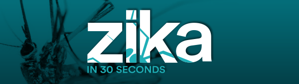 Zika in 30 Seconds