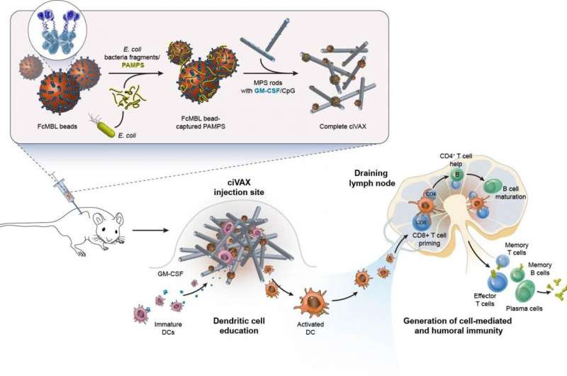 Biomaterial vaccines ward off broad range of bacterial infections and septic shock