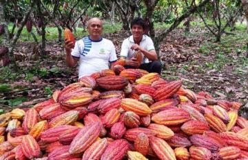 Tres muestras de cacao peruano destacaron en Competencia Internacional: “Cocoa of Excellence Awards 2021”