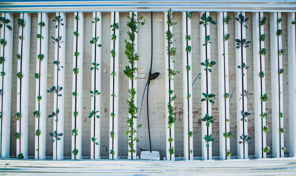 Jardín vertical en la azotea de un hotel