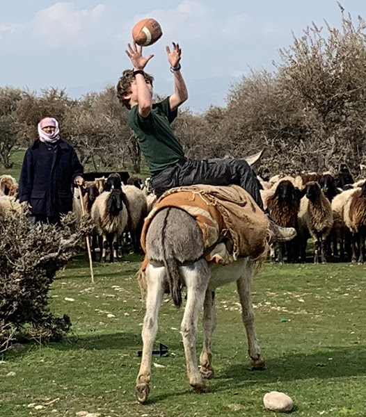 Donkey bóng đá